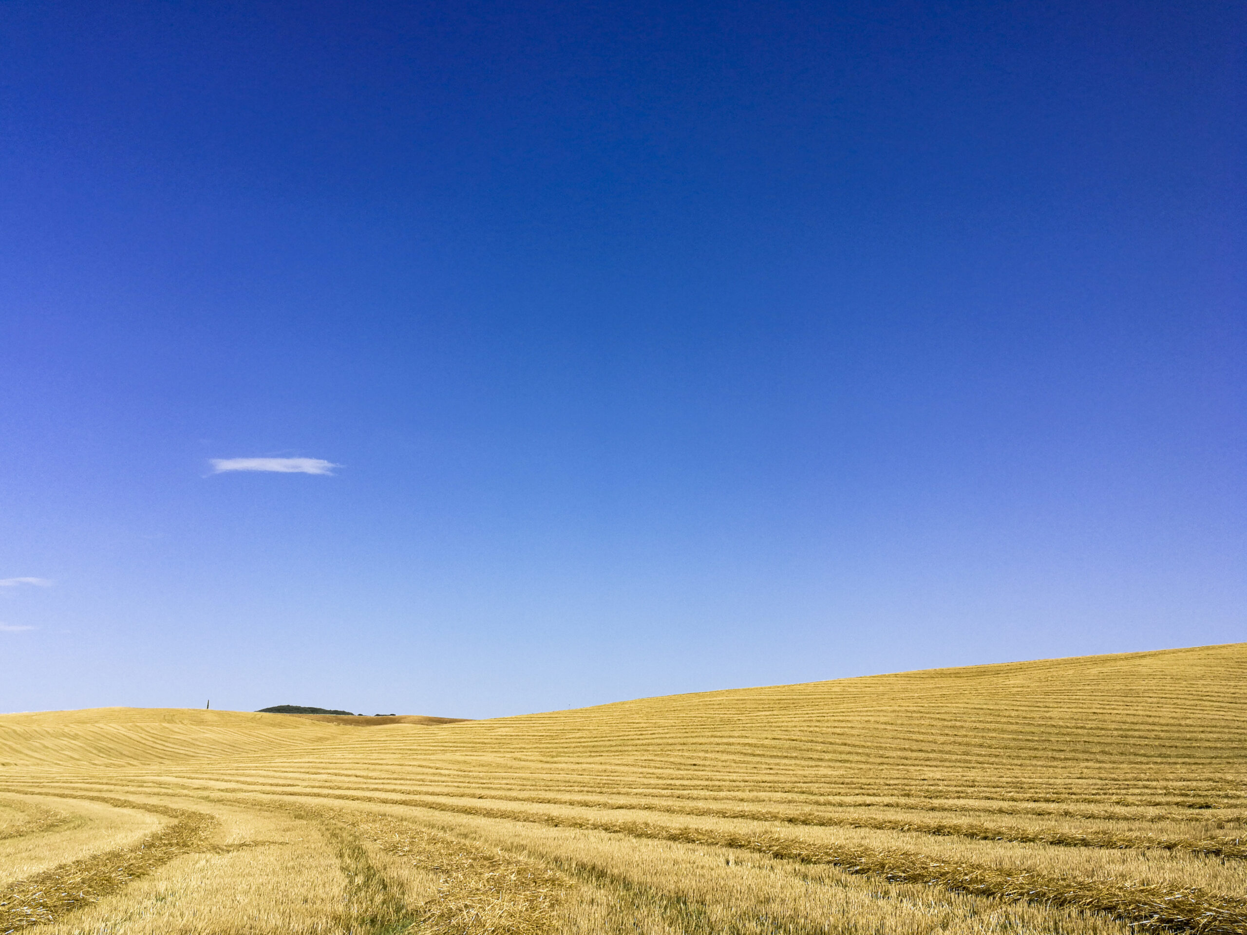 Toscana 2019